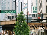 Chicago L Subway