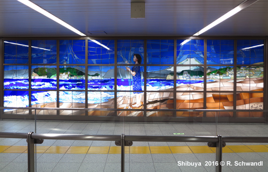 Tokyo Subway Hanzomon Line