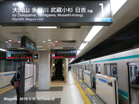 Tokyo Subway Namboku Line