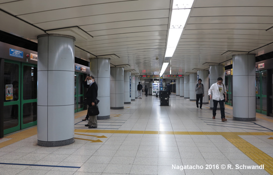 Tokyo Subway Namboku Line