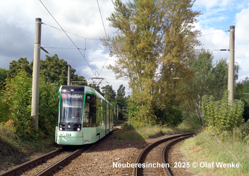 Tram Frankfurt (Oder)