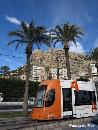 tram alicante
